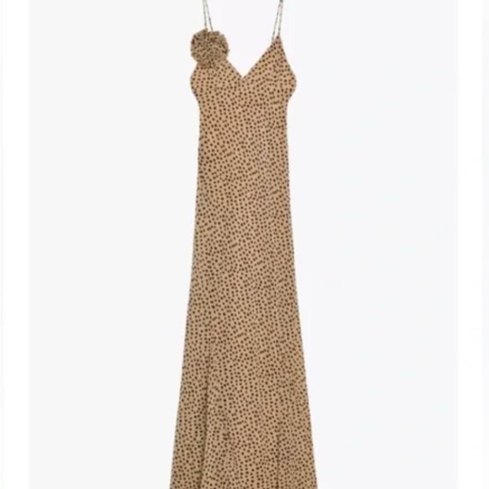 Zara Tan Maxi Dress with Black Dots (Fits like a Small size) - Picture 9 of 12